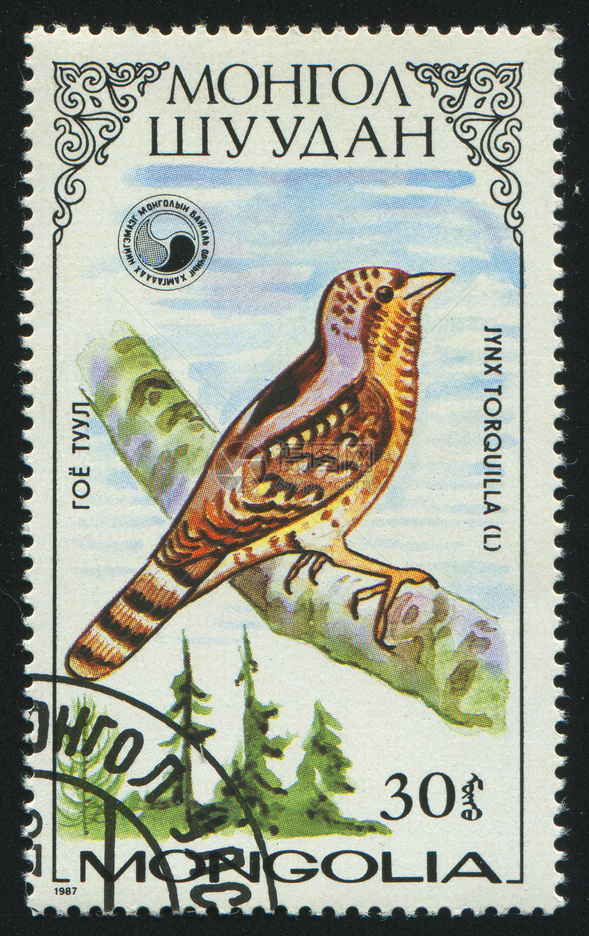 邮票荒野羽毛邮政木头账单野生动物邮资地址林地邮局图片