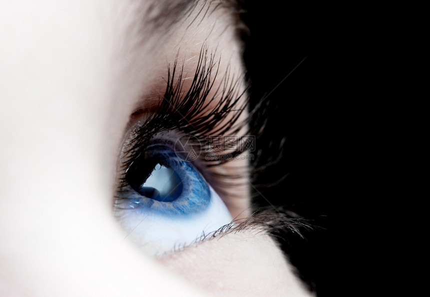 眼 目女士睫毛女孩鸢尾花反射女性瞳孔身体黑色蓝色图片