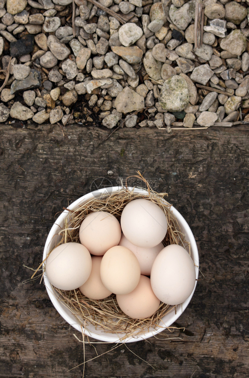新鲜鸡蛋石头碎石白色圆形木头食物椭圆形稻草图片