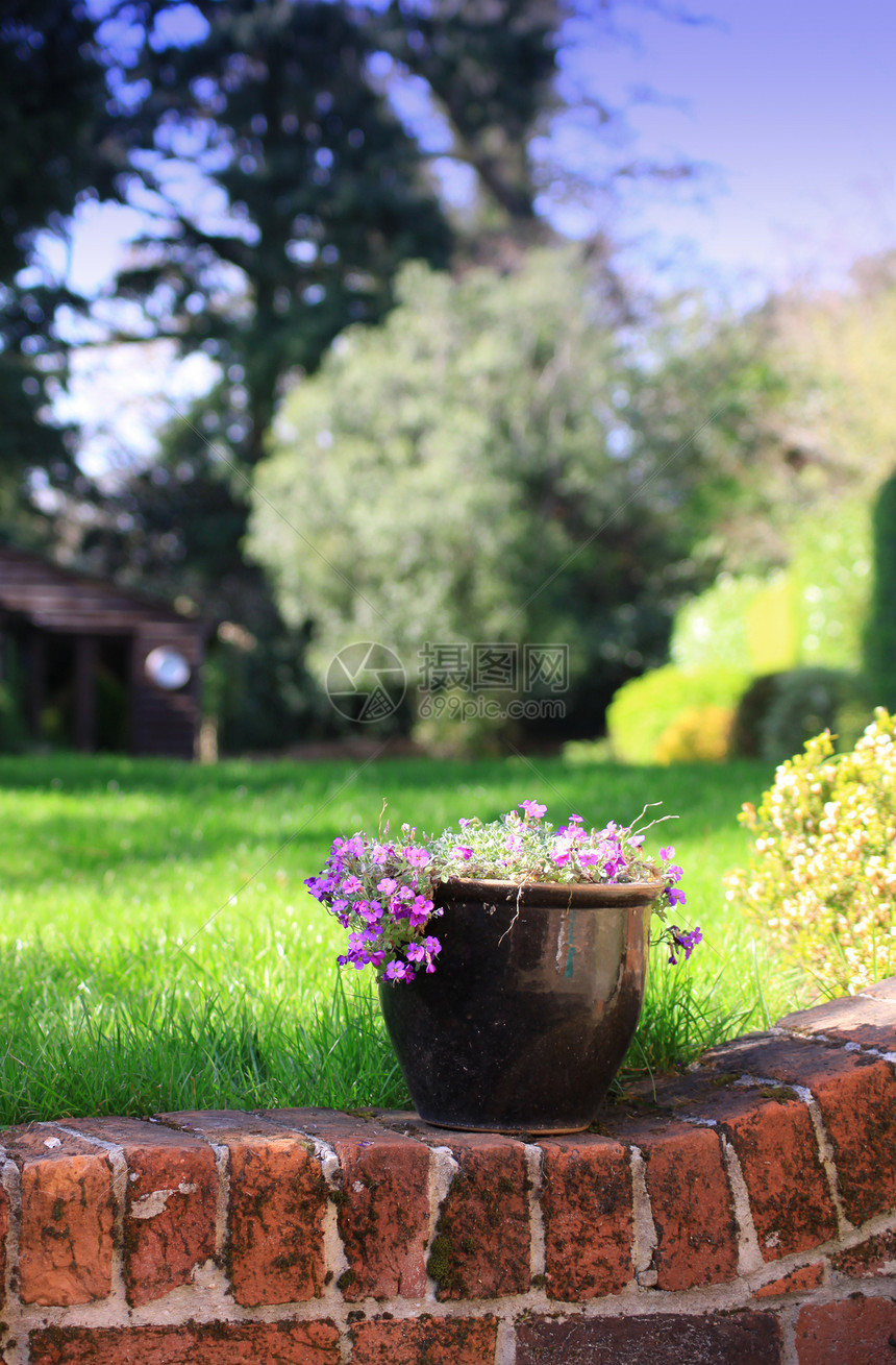 植物锅乡村花园棕色陶瓷花朵紫色制品图片