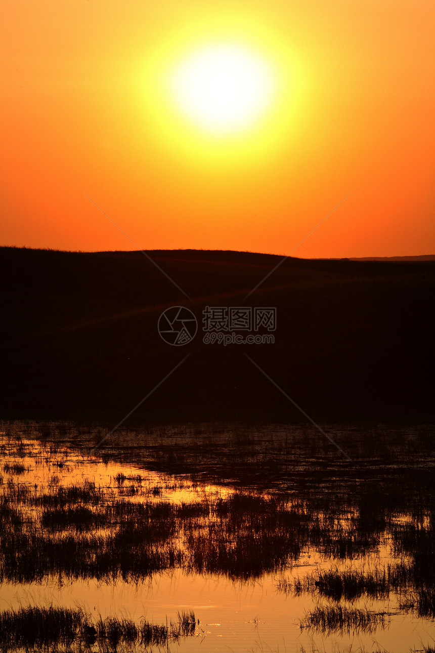 在萨斯喀彻温通过太阳反射游泳的水鸟猎鸟野生动物栖息地打猎动物群坑洞照片季节受保护荒野图片