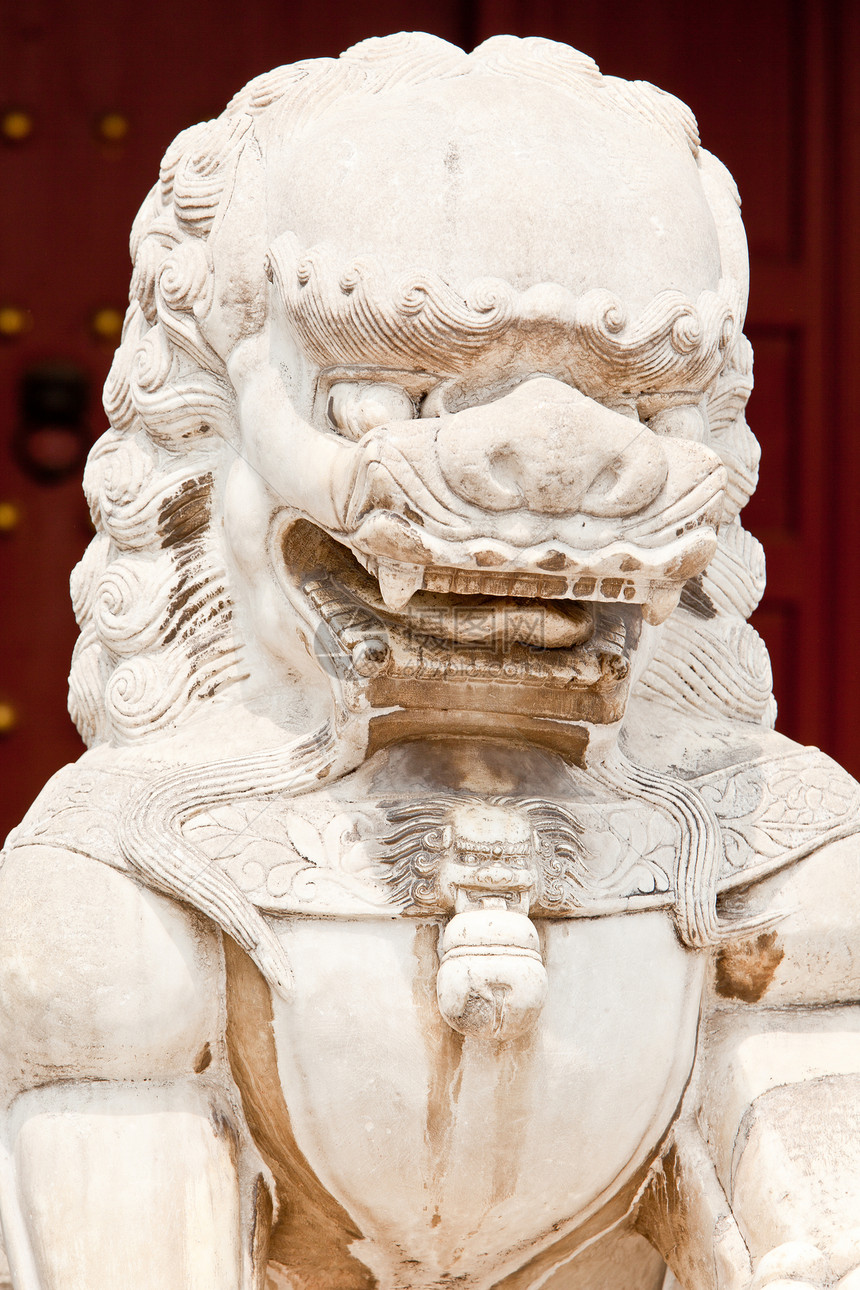 Konfuzius 坡脚蕨类植物宗教判断力旅游图片