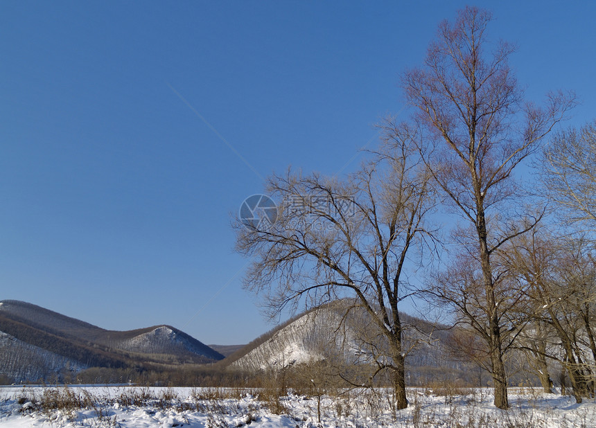 冬季风景山坡天空蓝色雪堆白色木头衬套图片