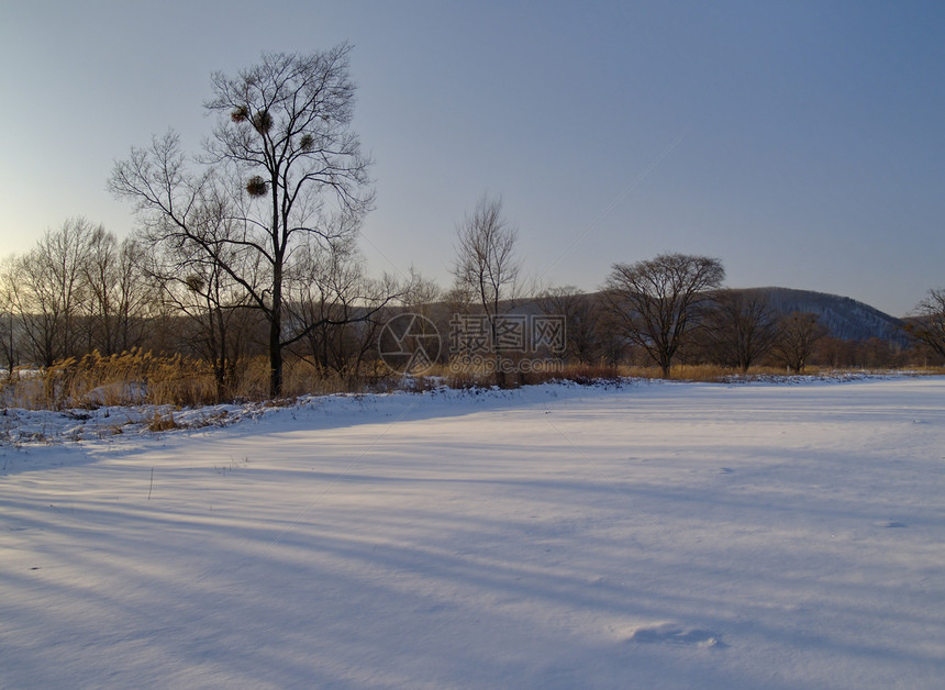 冬季风景蓝色阴影雪堆场地木头草地山坡白色天空图片