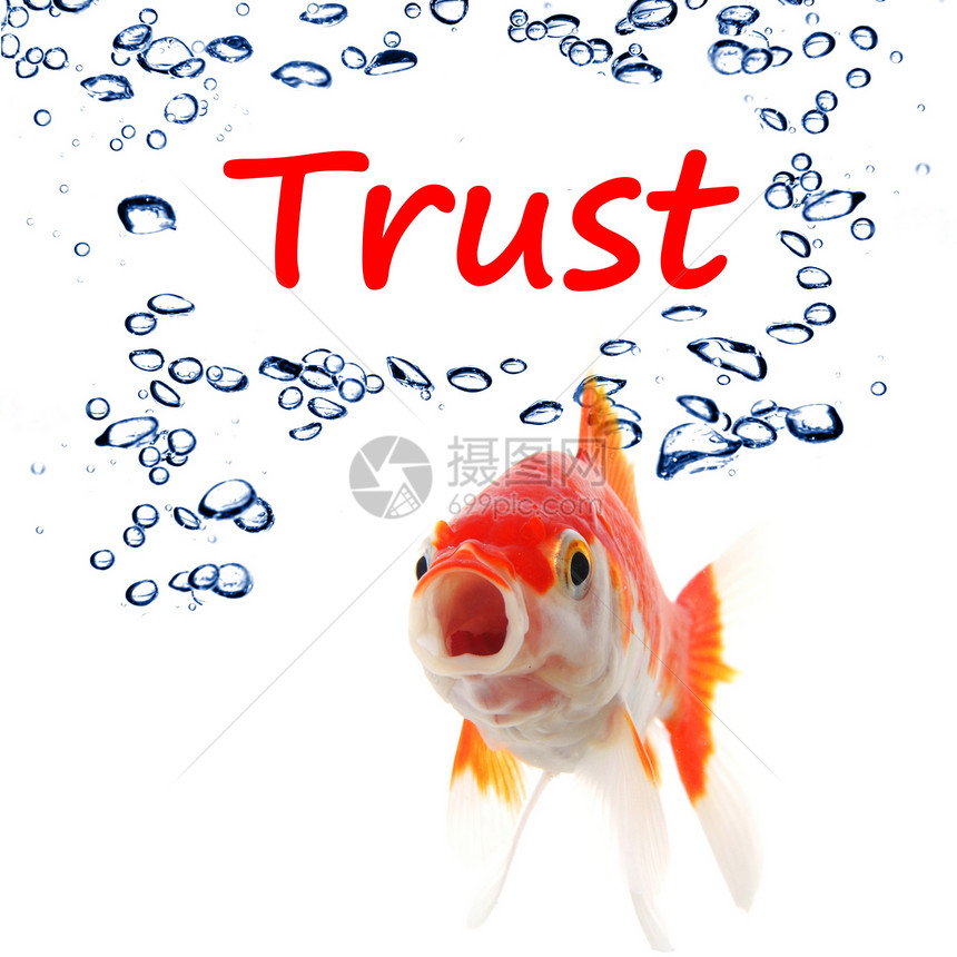 信任信托基金依赖银行白色信任活着气泡忠诚银行业保险商业图片