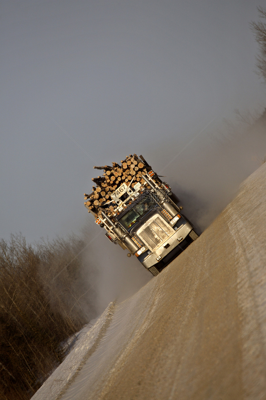接近运伐木卡车风景木材场景旅行图片