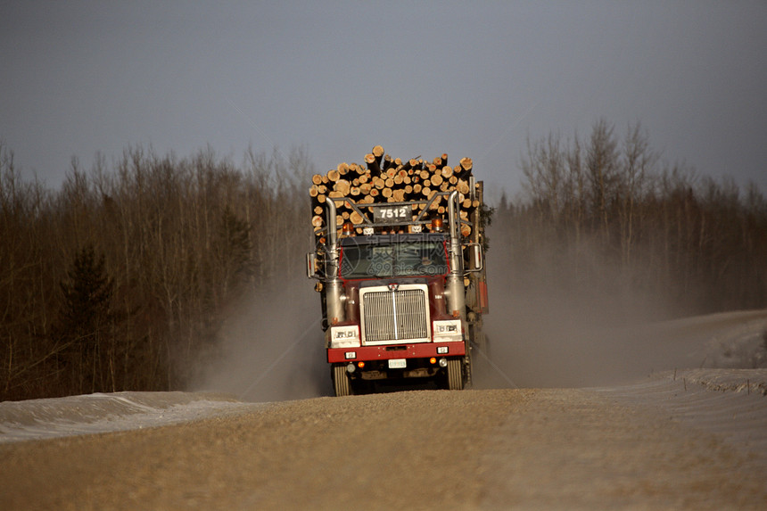 接近运伐木卡车场景水平旅行木材风景图片