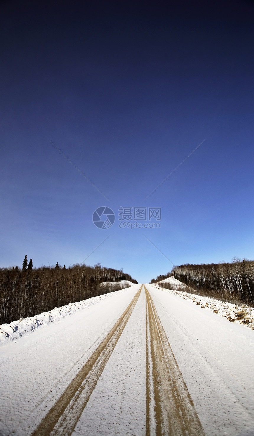 冬季伐木道路旅行痕迹风景荒野轮胎照片场景图片