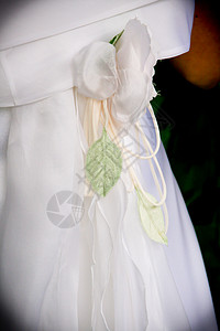 婚纱服装婚礼幸福教会叶子丝带庆典红色白色窗户玫瑰背景图片