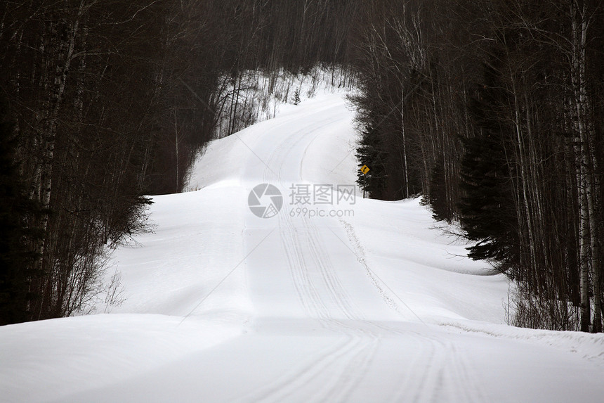 冬季的雪覆盖道路风景场景水平照片白杨树旅行图片