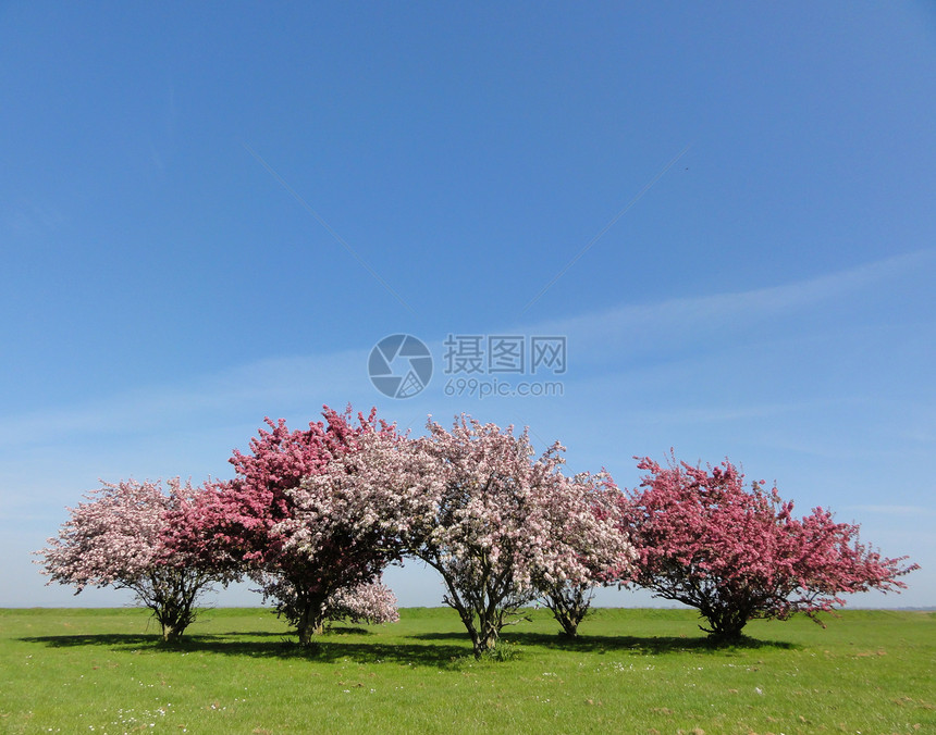 闪光天空季节农业风景蓝色场地场景农村天堂水平图片