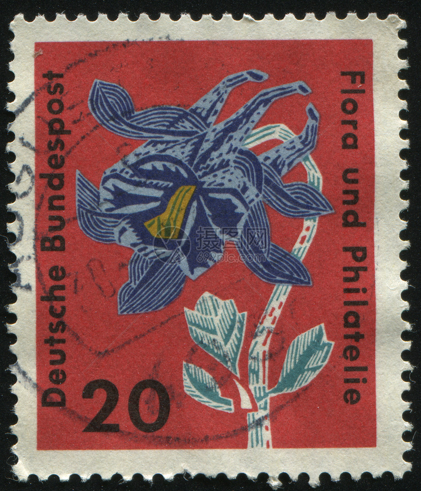 邮票植物学花粉卡片生活季节植物群花园邮戳信封宏观图片