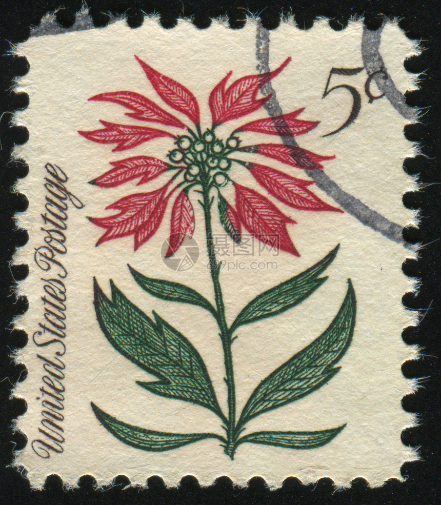 邮票花园植物花瓣树叶卡片邮戳集邮信封植物学邮件图片