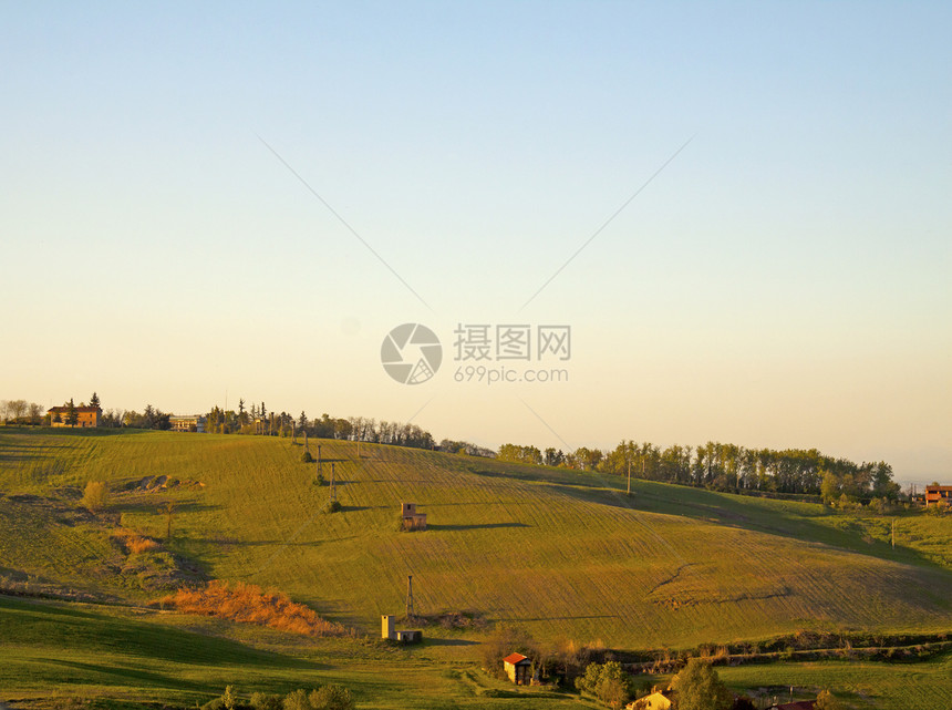 横向景观公园国家农业小麦场地场景植物花园草地森林图片