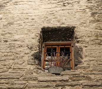 窗户建筑建筑学财产枝条季节风格生活水泥房子装饰背景图片