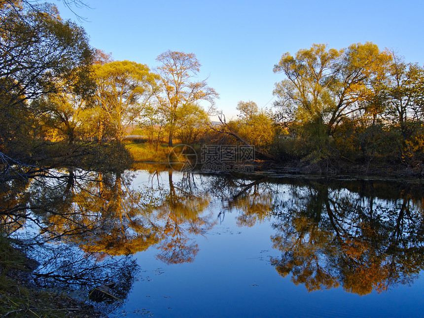 在湖边的秋晚衬套反射蓝色木头黄色天空海岸图片