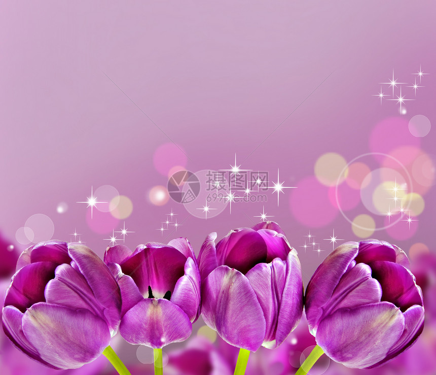 背景的深粉色郁金香赞扬念日花朵紫色礼物花束植物花瓣植物群橙子图片