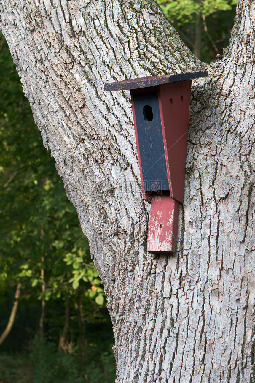 鸟鸟之家盒子房子野生动物住宅木头鸟巢手工风化爱好鸟类图片