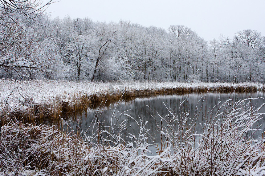 Icy 冬季风景图片