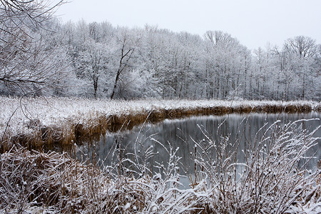 Icy 冬季风景高清图片