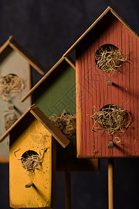 鸟鸟之家住宅盒子爱好手工房子教会野生动物风化木头鸟类背景图片
