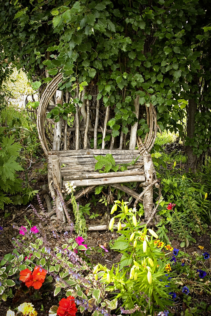花园主席木头树叶公园植物园林绿化绿色椅子美化园艺图片