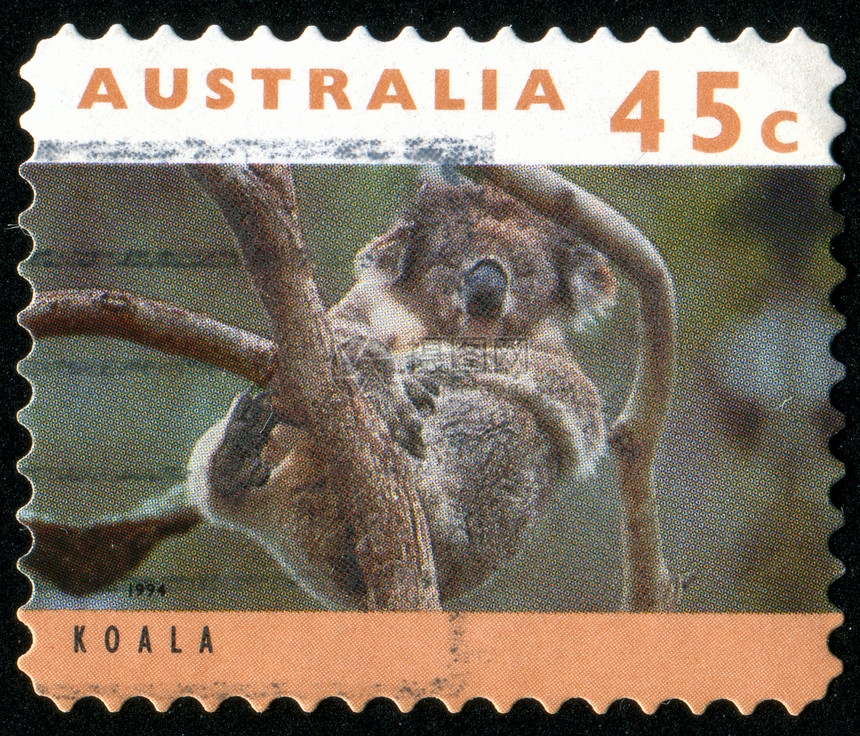 邮票集邮野生动物明信片叶子耳朵动物园考拉动物邮戳毛皮图片