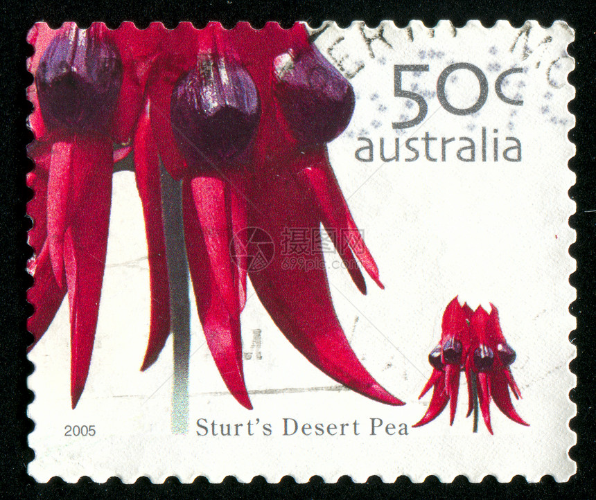 邮票植物花瓣植物群邮戳信封集邮邮件植物学明信片花店图片