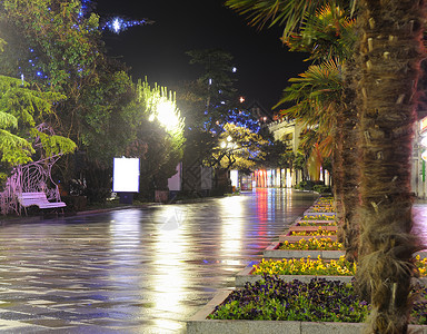 夜静城市棕榈大堤建筑学场景旅行黄色外滩街道黑色高清图片