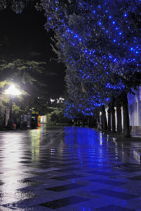 夜静场景城市大堤生活街道蓝色活力实习生码头旅行高清图片