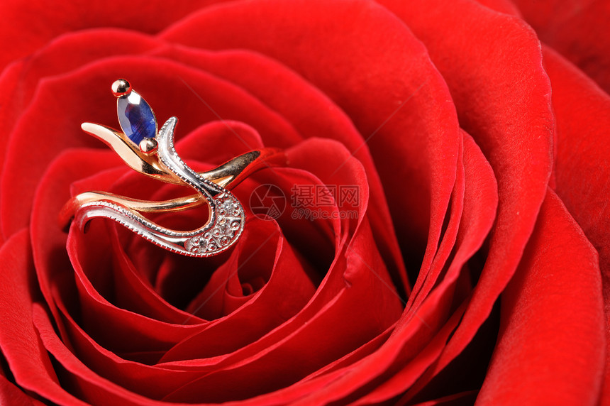 红玫瑰中带蓝宝石的戒指叶子首饰风格礼物金子宝石钻石花瓣蜜月装饰图片