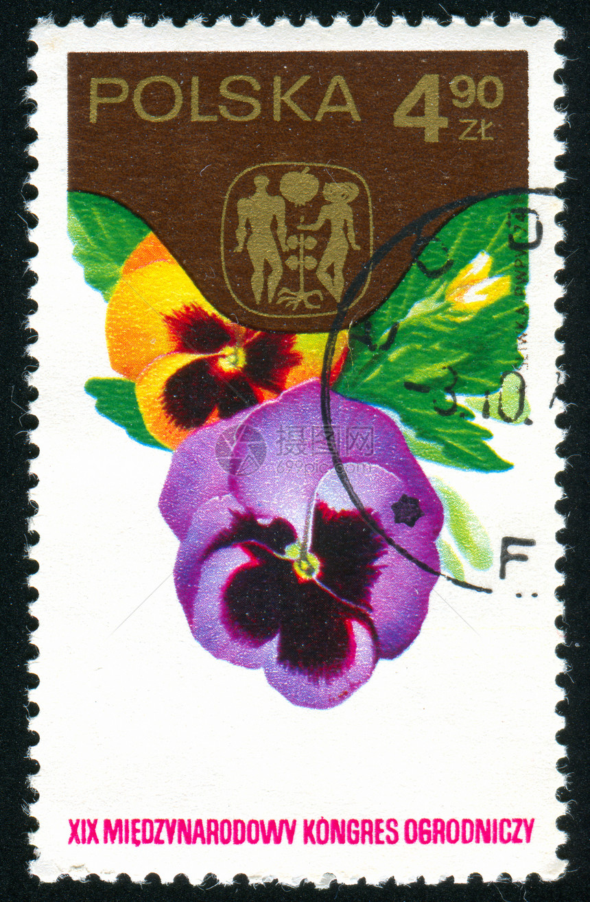 邮票历史性邮戳邮件古董植物集邮植物学三色植物群明信片图片