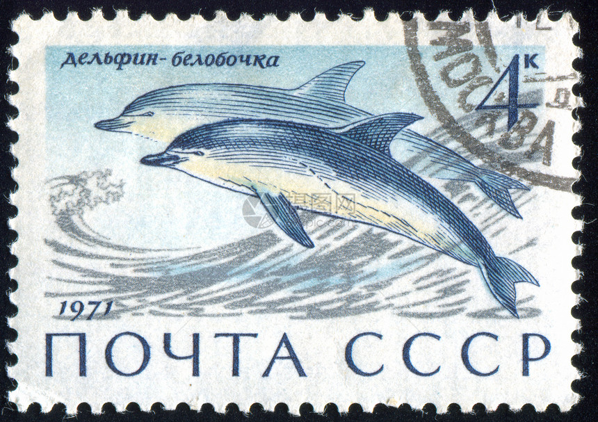 邮票荒野集邮生物野生动物信封游泳历史性海洋水池邮戳图片