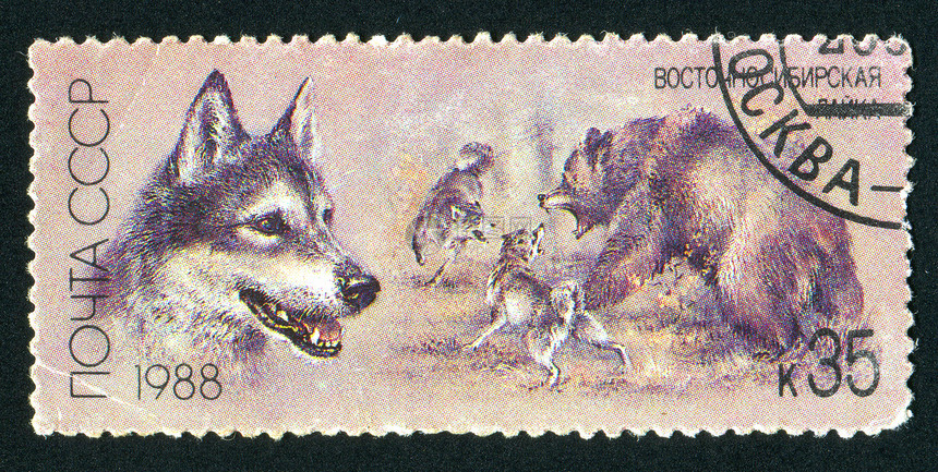 邮票海豹古董邮件邮戳危险爪子集邮力量哺乳动物毛皮图片