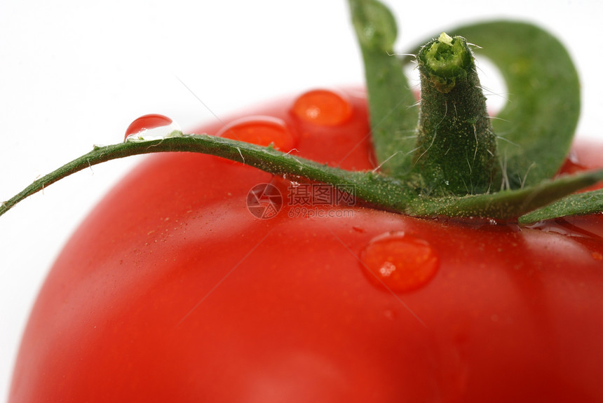 番茄宏观照片食物活力沙拉饮食水果蔬菜美食小吃藤蔓白色图片