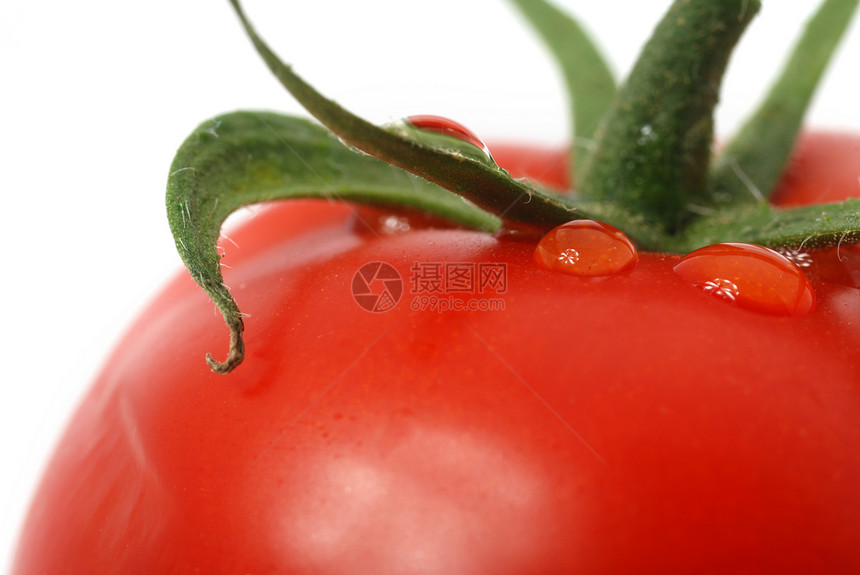 番茄宏观照片食物白色绿色饮食小吃美食藤蔓活力水果红色图片