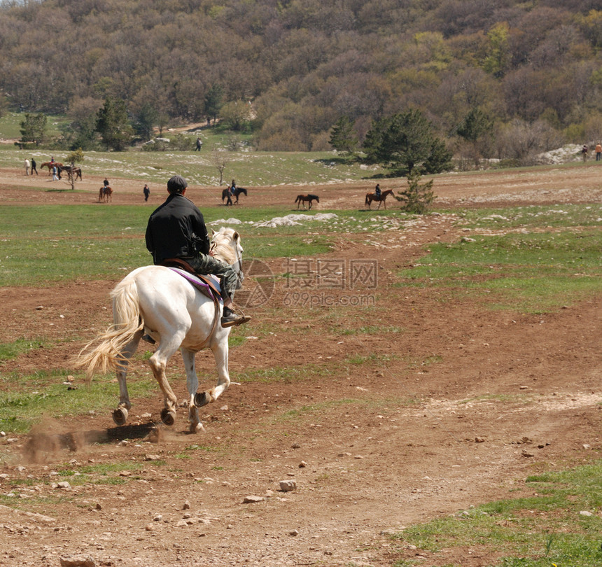 骑马的人骑手骑师跑步地形自由土地动物季节马具畜栏图片