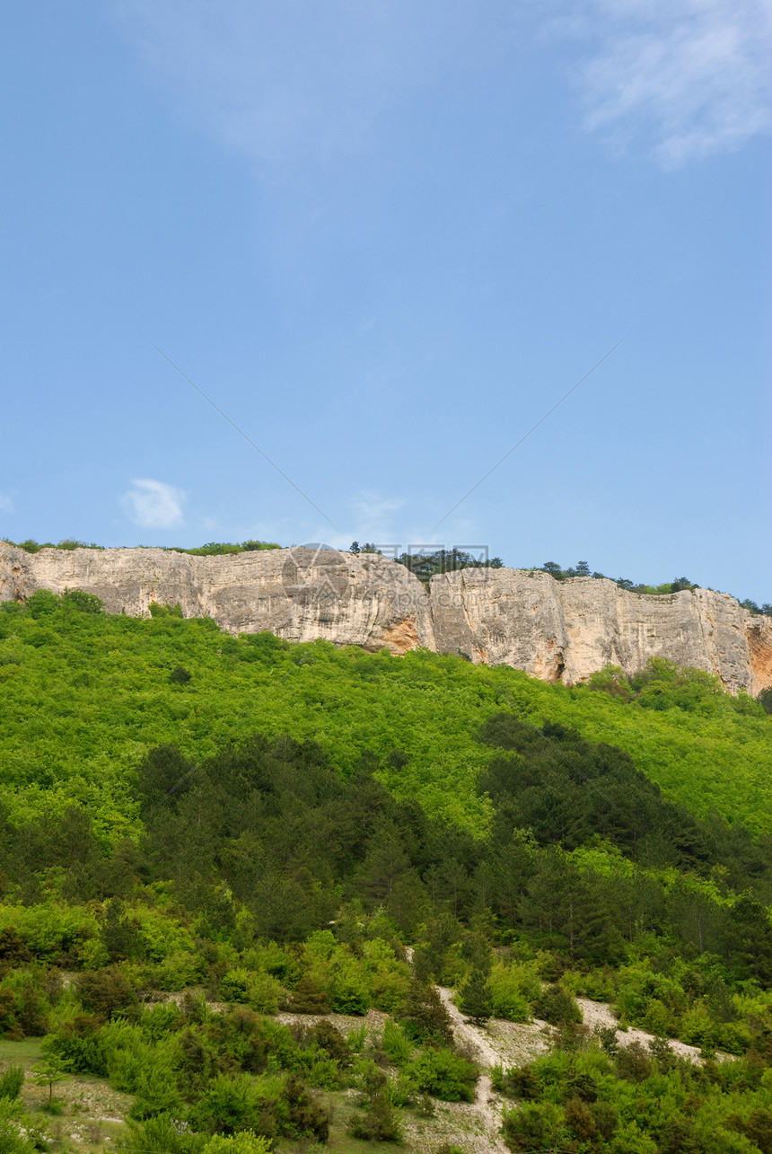 山区和森林顶峰天空公园场景全景爬坡假期地形松树草地图片