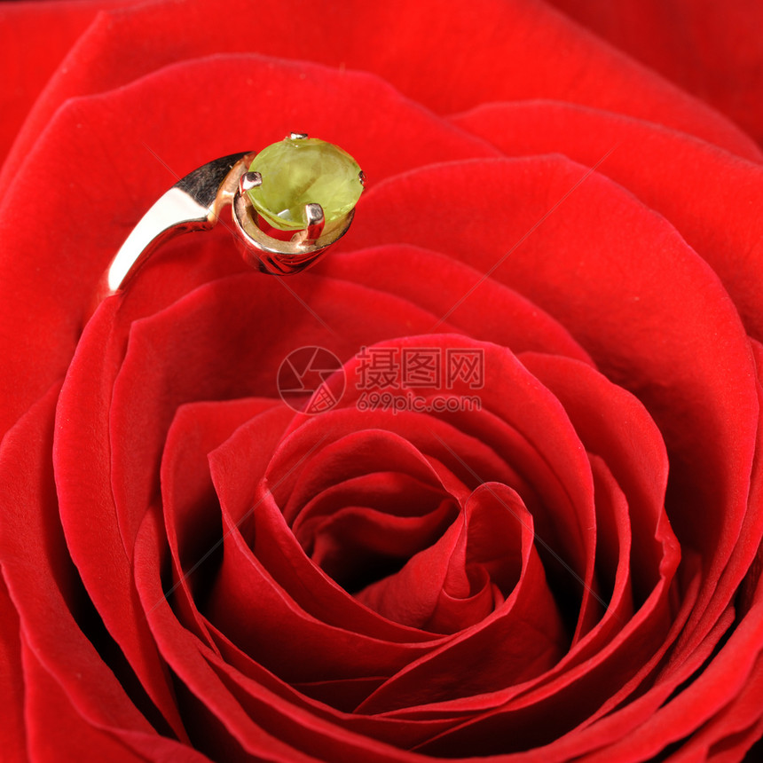 在红玫瑰中环植物玫瑰戒指庆典美丽珠宝新娘宝石金属蜜月图片