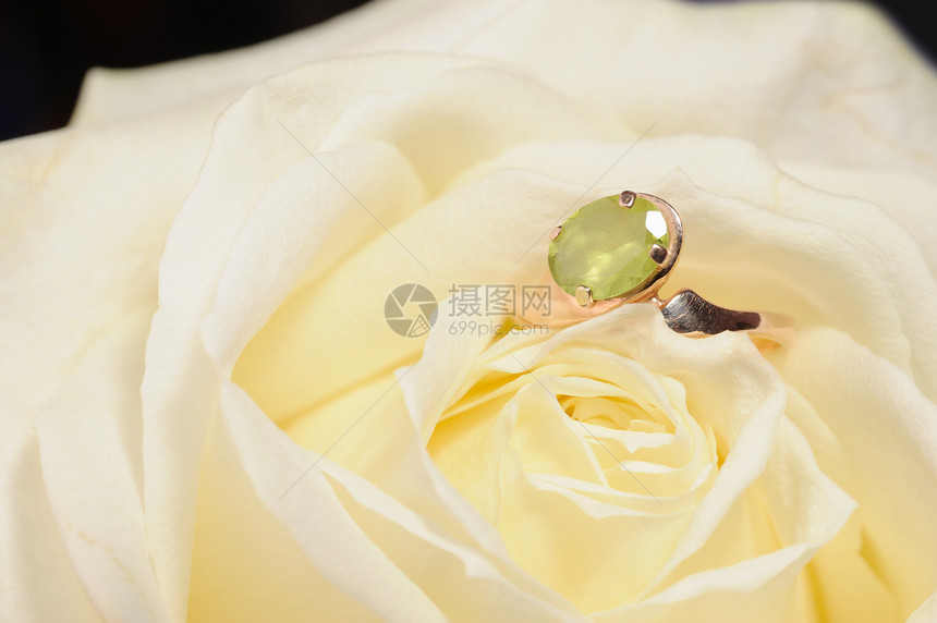 环在白玫瑰中新娘植物叶子珠宝宝石金子婚姻钻石庆典美丽图片