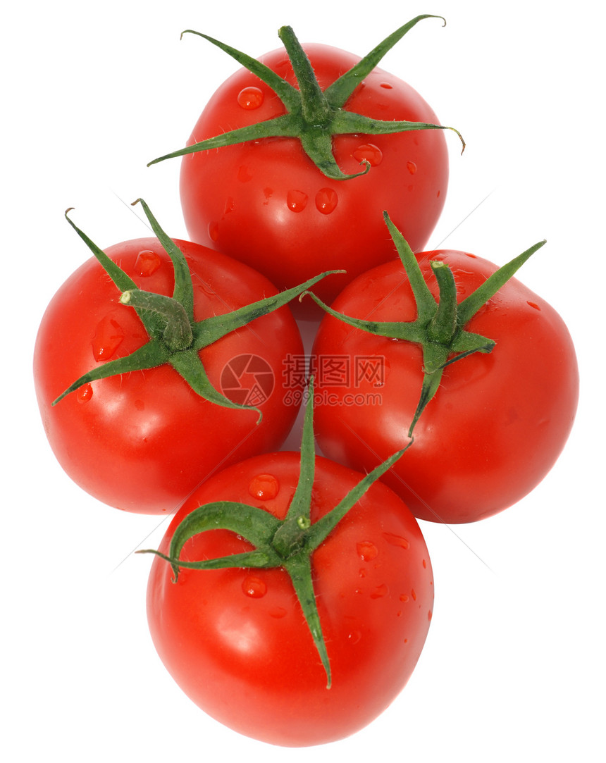 番茄套西红柿图片
