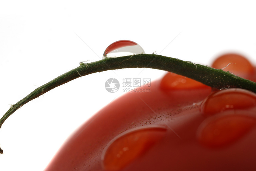 番茄和投放宏照片图片