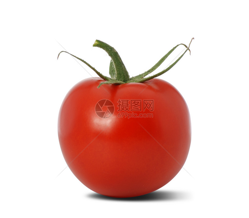 孤立的番茄点燃反射收获水果植物小吃蔬菜农业美食叶子图片