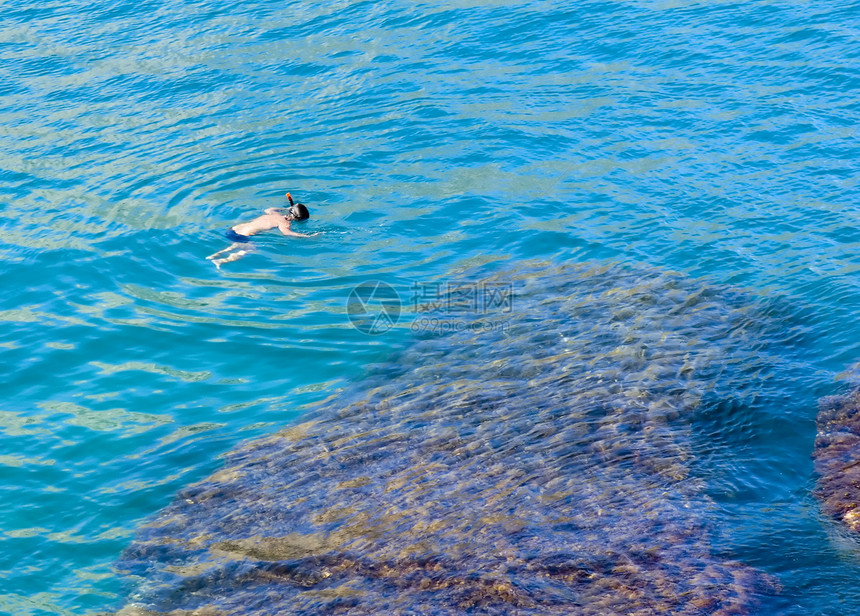 小潜水员享受生活热带活动气候水池海洋野生动物自由旅行图片