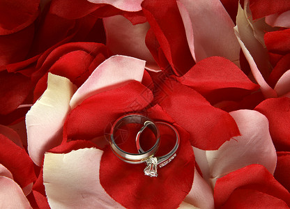 玫瑰花瓣上的结婚环项链水平美术珠宝工作室照片珍珠系列背景图片
