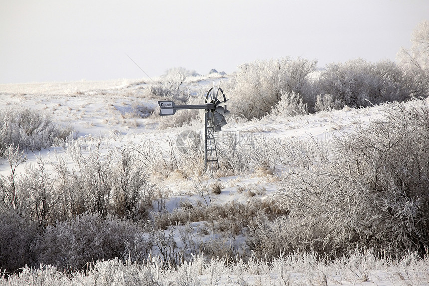 寒冬日乡村农村美术场地照片白霜遗产灌木丛场景风景图片