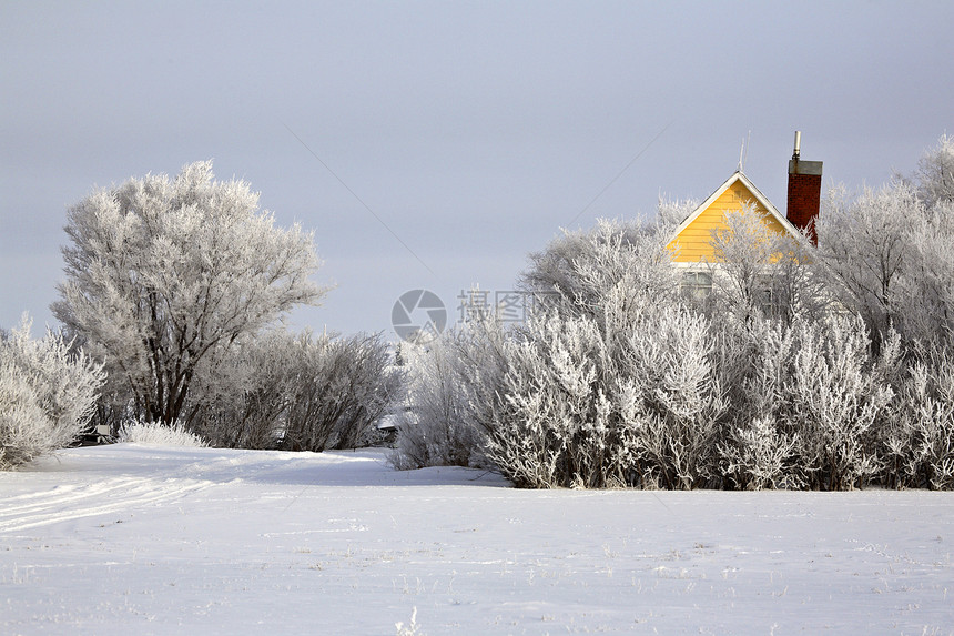 冬季被遗弃的农舍旅行乡村场地树木水平灌木丛风景遗产白霜场景图片