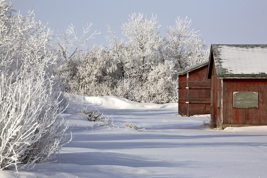 冬季废弃的农舍建筑树木农村风景遗产灌木丛旅行美术白霜场景乡村图片