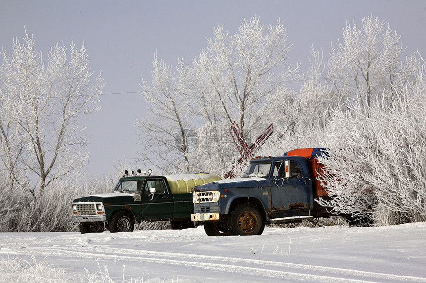两辆老旧的农用卡车 在冰霜覆盖的树丛中图片
