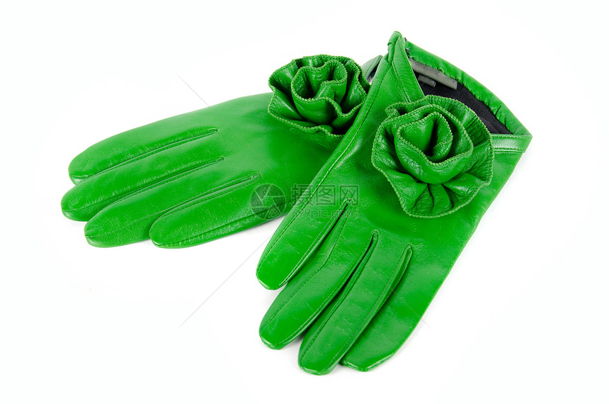 绿绿色女性皮手套棕榈衣服季节皮革白色男性玫瑰毛皮季节性天气图片